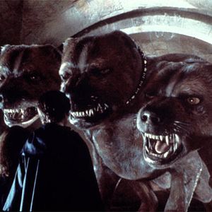 Fotoğraf Harry Potter ve Felsefe Taşı