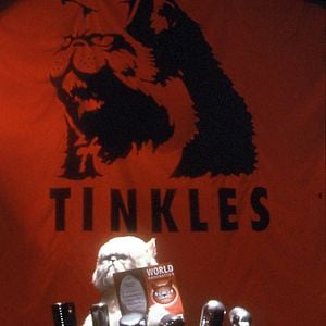 Fotoğraf Kediler ve Köpekler