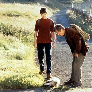 Fotoğraf Tüm Küçük Hayvanlar