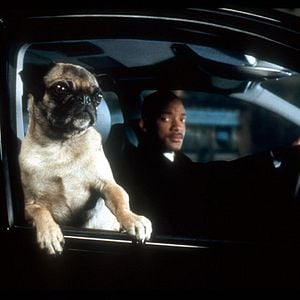 Fotoğraf Siyah Giyen Adamlar 2