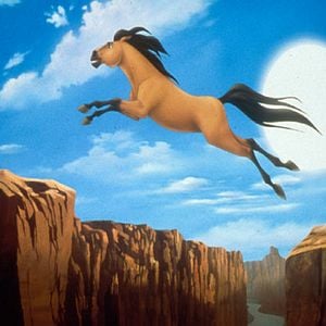 Fotoğraf Özgür Ruh