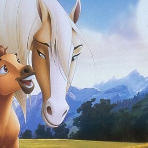 Fotoğraf Özgür Ruh