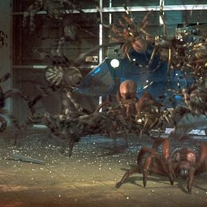 Fotoğraf Sekiz Bacaklı Canavarlar