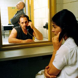 Fotoğraf Un oso rojo