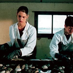 Fotoğraf Hélène Fillières