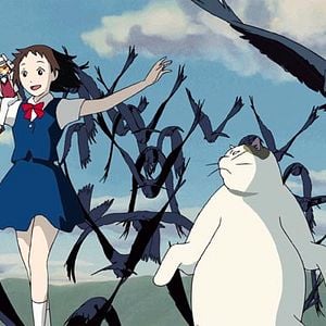 Fotoğraf Sihirli Kedi