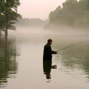 Fotoğraf Büyük Balık