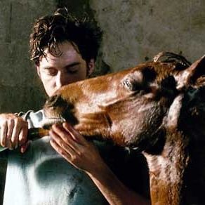 Fotoğraf Mathieu Demy