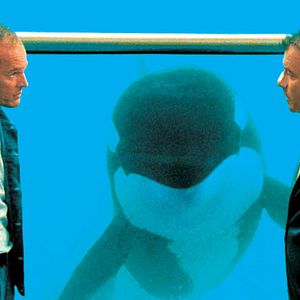 Fotoğraf Laurent Baffie