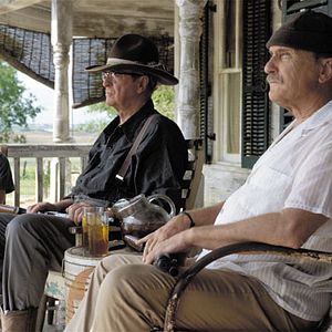 Fotoğraf Secondhand Lions