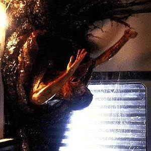 Fotoğraf Tehlikeli Tür