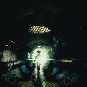 Fotoğraf Tehlikeli Yaratıklar