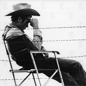 Fotoğraf Devlerin Aşkı