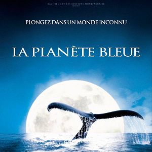 Fotoğraf Alastair Fothergill