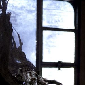 Fotoğraf Harry Potter ve Azkaban Tutsağı