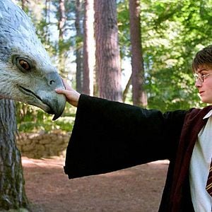 Fotoğraf Harry Potter ve Azkaban Tutsağı