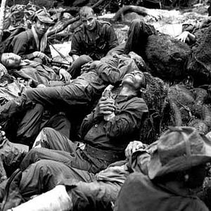 Fotoğraf Jacques Perrin