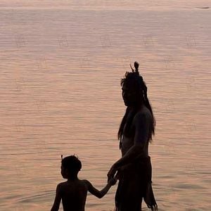 Fotoğraf Terrence Malick