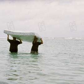 Fotoğraf Claire Denis