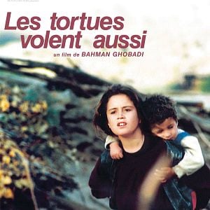 Fotoğraf Kaplumbağalar da Uçar