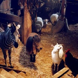 Fotoğraf Frederik Du Chau