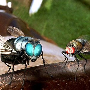 Fotoğraf Frederik Du Chau