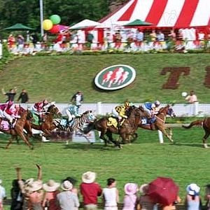 Fotoğraf Racing Stripes