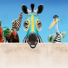 Fotoğraf Frederik Du Chau