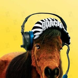 Fotoğraf Racing Stripes