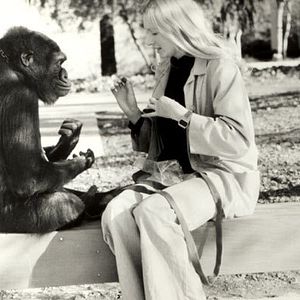 Fotoğraf Barbet Schroeder