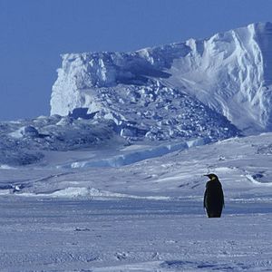 Fotoğraf İmparatorun Yolculuğu