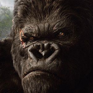 Fotoğraf King Kong
