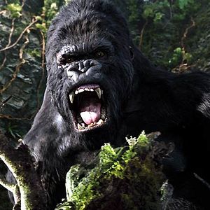 Fotoğraf King Kong