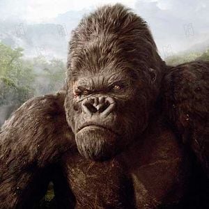 Fotoğraf King Kong