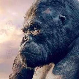 Fotoğraf King Kong