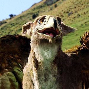 Fotoğraf Andrew Adamson