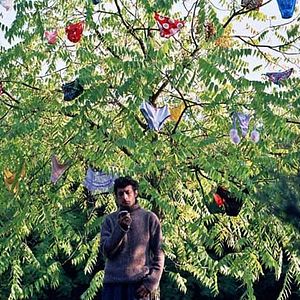 Fotoğraf Sacha Bourdo