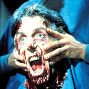 Fotoğraf Re-Animator