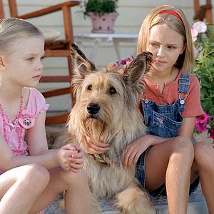 Fotoğraf Wayne Wang