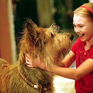 Fotoğraf Wayne Wang