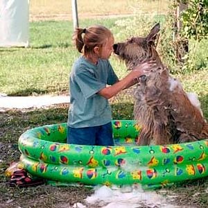 Fotoğraf AnnaSophia Robb