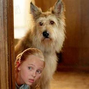 Fotoğraf AnnaSophia Robb