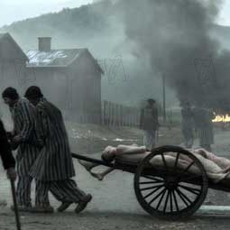 Fotoğraf Kadersizlik