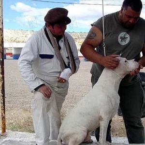 Fotoğraf Juan Villegas