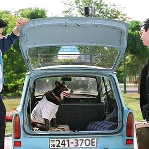 Fotoğraf Everything Is Illuminated