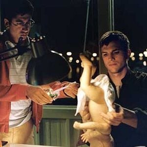 Fotoğraf Ashton Kutcher