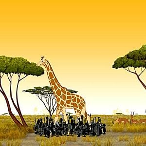 Fotoğraf Michel Ocelot