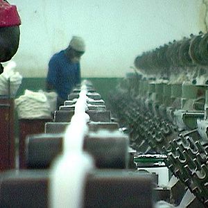 Fotoğraf Olivier Zuchuat