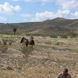 Fotoğraf Tommy Lee Jones