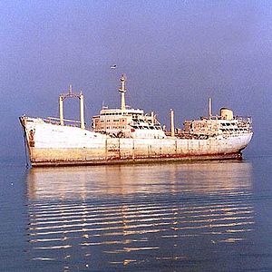 Fotoğraf Mohammad Rasoulof